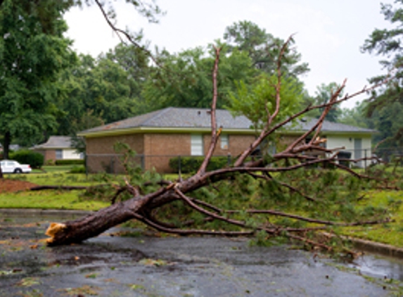 Great Scott Tree Service - Norfolk, VA