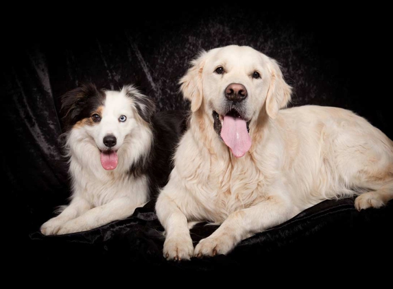 Eastern Shore Veterinary Hospital - Warrane, TAS