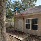 Diven Tree Services