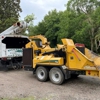 Diversified Tree Service gallery
