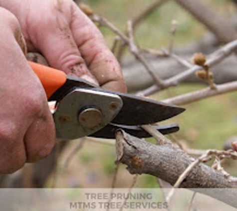 MT&S Tree Services - Lubbock, TX