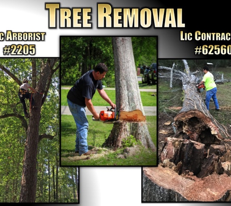 Divine Equipment Tree & Land Clearing - Abita Springs, LA