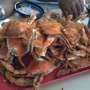 The Crab Galley