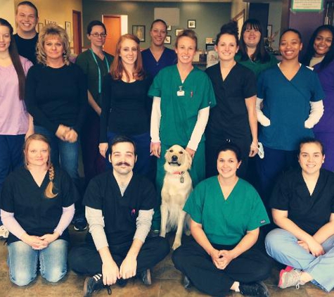 Broadview Animal Clinic - Aurora, CO