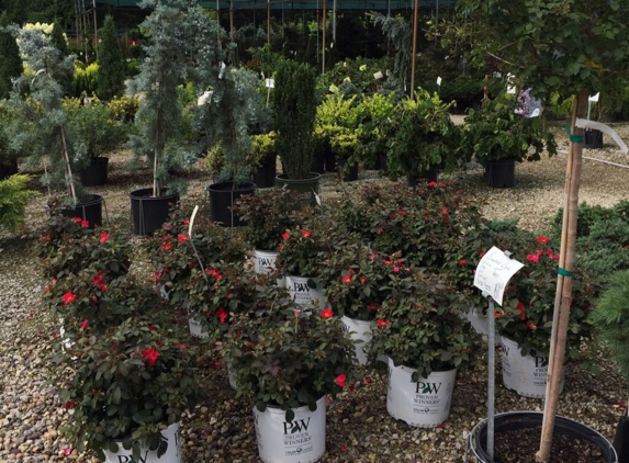 Marshall Nursery - Fenton, MO