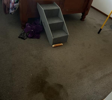 Esgee Cleaning Services - Norlane, VIC