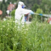 Buggin' Out Pest Control gallery