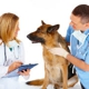 Grand Valley Veterinary Emergency Center