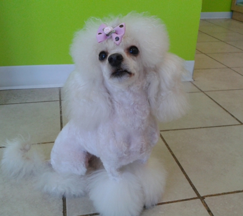 Pupazzo Dog Grooming & Pet supplies Xpress - Long Beach, CA