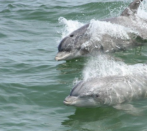 Beach Buddy Tours - Fort Myers Beach, FL