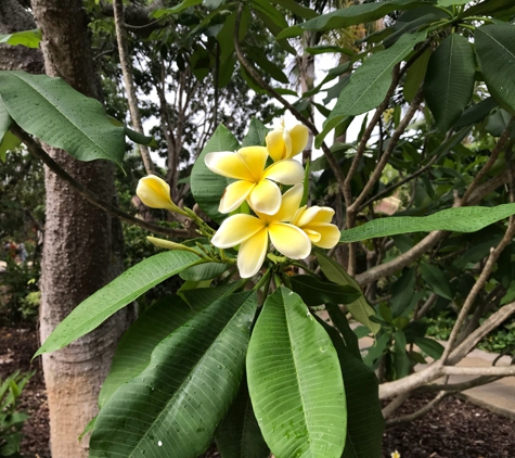 Mounts Botanical Garden - West Palm Beach, FL