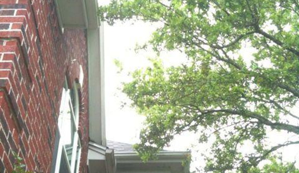 Don's Tree Service - Houston, TX