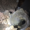Badger Drains, LLC gallery