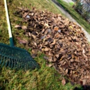 Shadow Lawn Care Services - Landscaping & Lawn Services