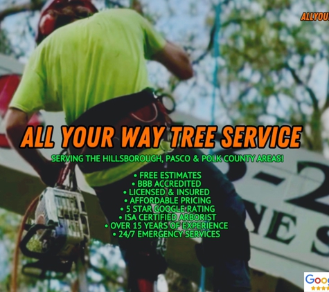 All Your Way Lawn, Tree, and Property Maintenance - Tampa, FL