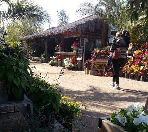 Whitfill Nurseries - Phoenix, AZ