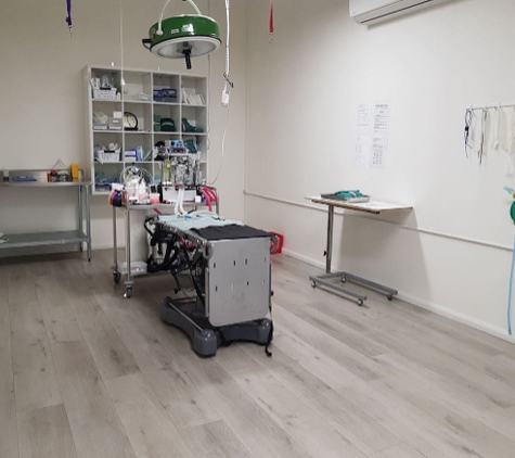 South Coast Veterinary Hospital - Kiama, NSW