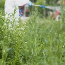 Brochu Pest Solutions - Pest Control Equipment & Supplies