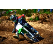 Gallery Image Number 7