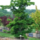 Susanna Farm Nursery Inc - Nurseries-Plants & Trees