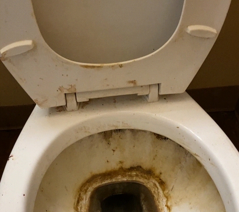 Presto Cleaning - San Diego, CA. Toilet Before