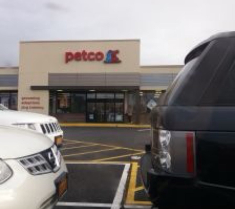 Petco Dog Training - Bronx, NY