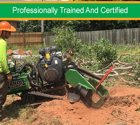 Active Tree Fellas - Urangan, QLD. Professionally Trained And Certified