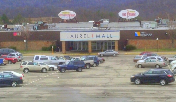 Laurel Mall Flea Market - Connellsville, PA