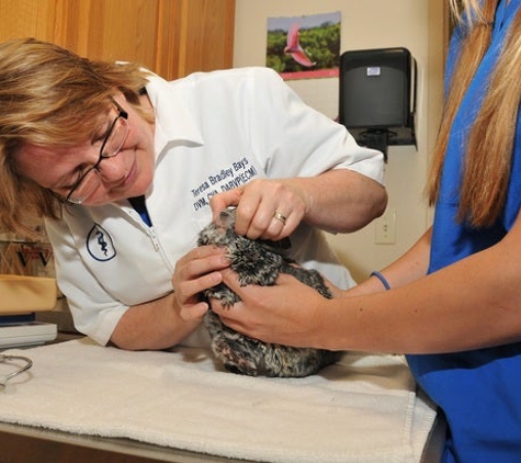 Belton Animal Clinic And Exotic Care Center - Belton, MO