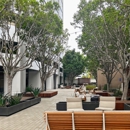 Brand House - Web Site Design & Services