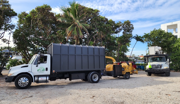 Full Tree Services - Davie, FL. Trimming of Sea Grapes 