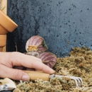 Braman Termite & Pest - Pest Control Equipment & Supplies