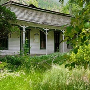 Gallery Image Number 2
