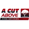 A Cut Above Tree Services gallery