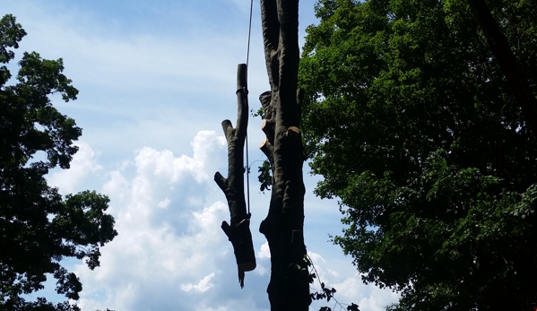 Superior Tree And Landscape - Morristown, TN