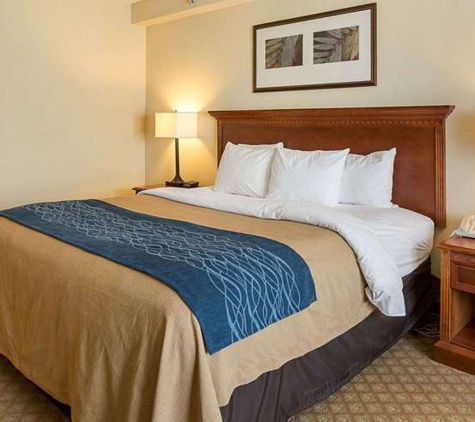 Comfort Inn & Suites Virginia Beach-Norfolk Airport - Virginia Beach, VA