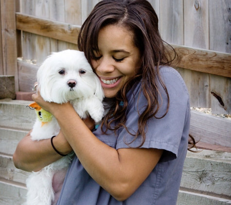 Animal Medical Center - Wyoming, MI