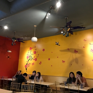 Blue Asia Cafe - Allston, MA