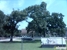Graziano Roofing of Texas Inc - Roofing Contractors