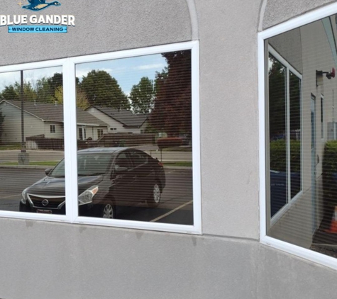 Blue Gander Window Cleaning - Boise, ID