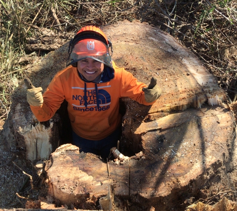 Wayne's Stump Grinding