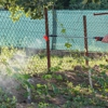 Local Guy Pest Control gallery