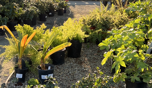 Evergreen Nursery Inc. - San Leandro, CA