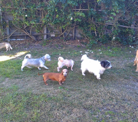 Fiona's Dog Grooming - West Kempsey, NSW