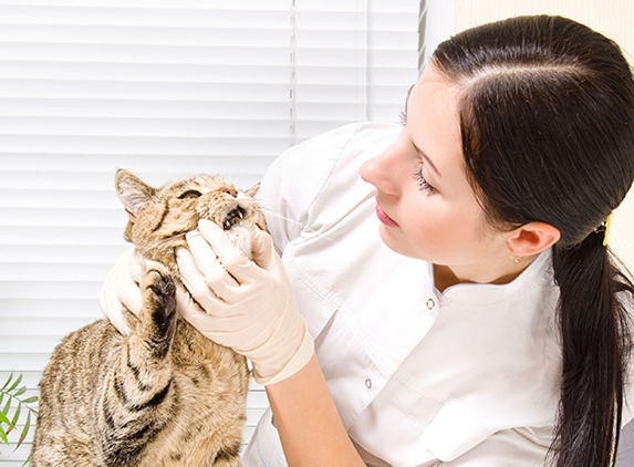 Tender Loving Care Animal Hospital Pc - Freeport, IL