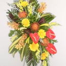 Divine Nature Floral Design - Flowers, Plants & Trees-Silk, Dried, Etc.-Retail