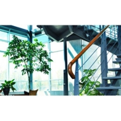 Gallery Image Number 5