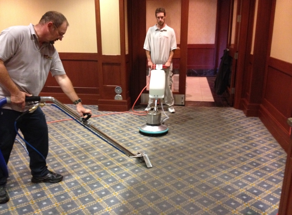 Hot Scrub Carpet Cleaning - Warren, MI