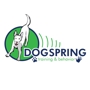 Dogspring Training
