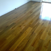 Gallery Image Number 2